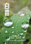 白露