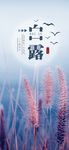 白露
