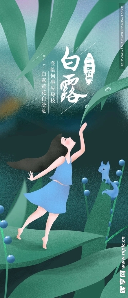 白露