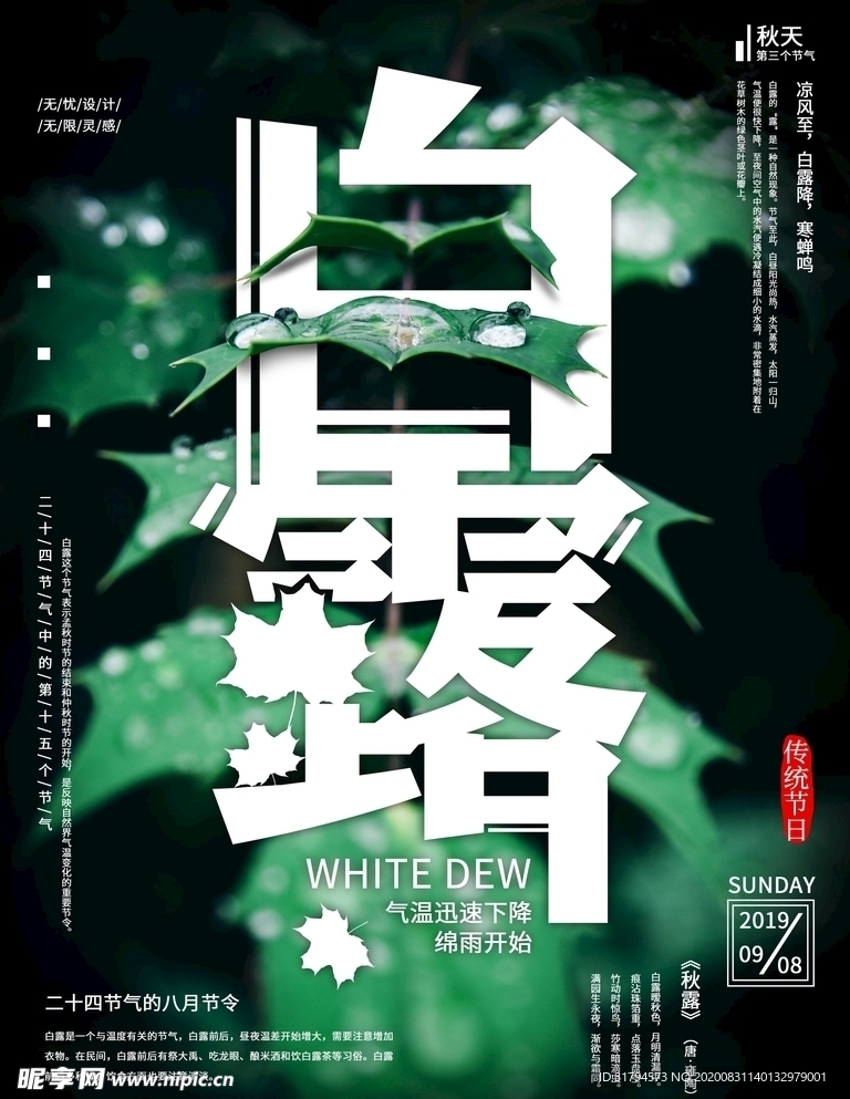 白露