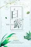白露