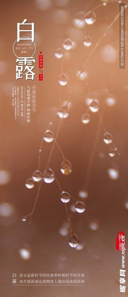 白露