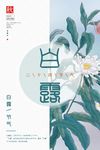 白露