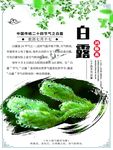 白露