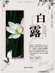 白露