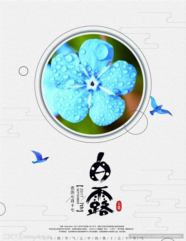 白露