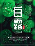 白露