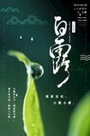 白露
