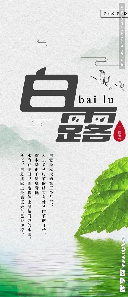 白露