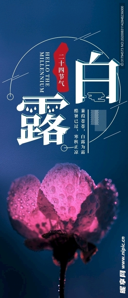 白露