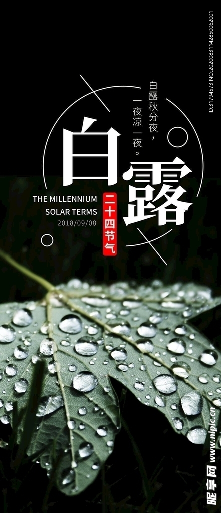 白露