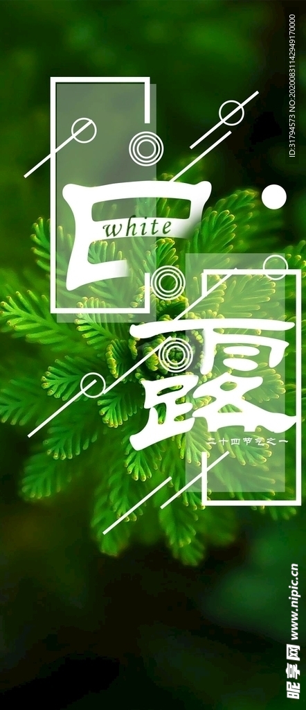 白露