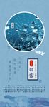 白露