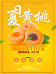 黄桃图片