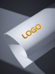 LOGO样机