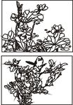 花鸟白描图