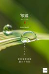 寒露海报