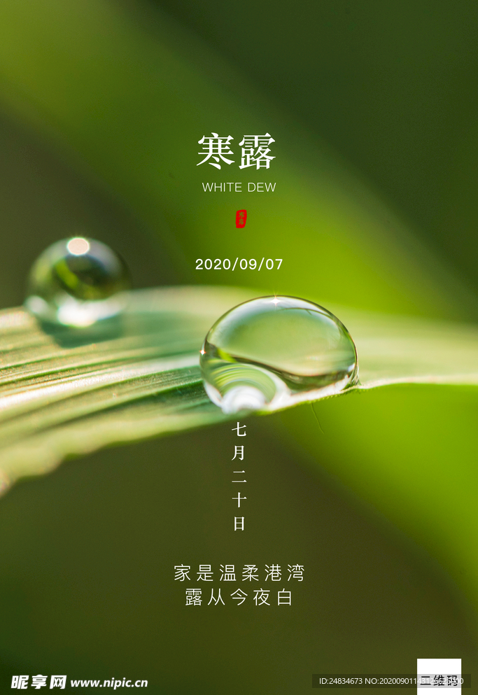 寒露海报