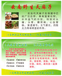 天麻子名片