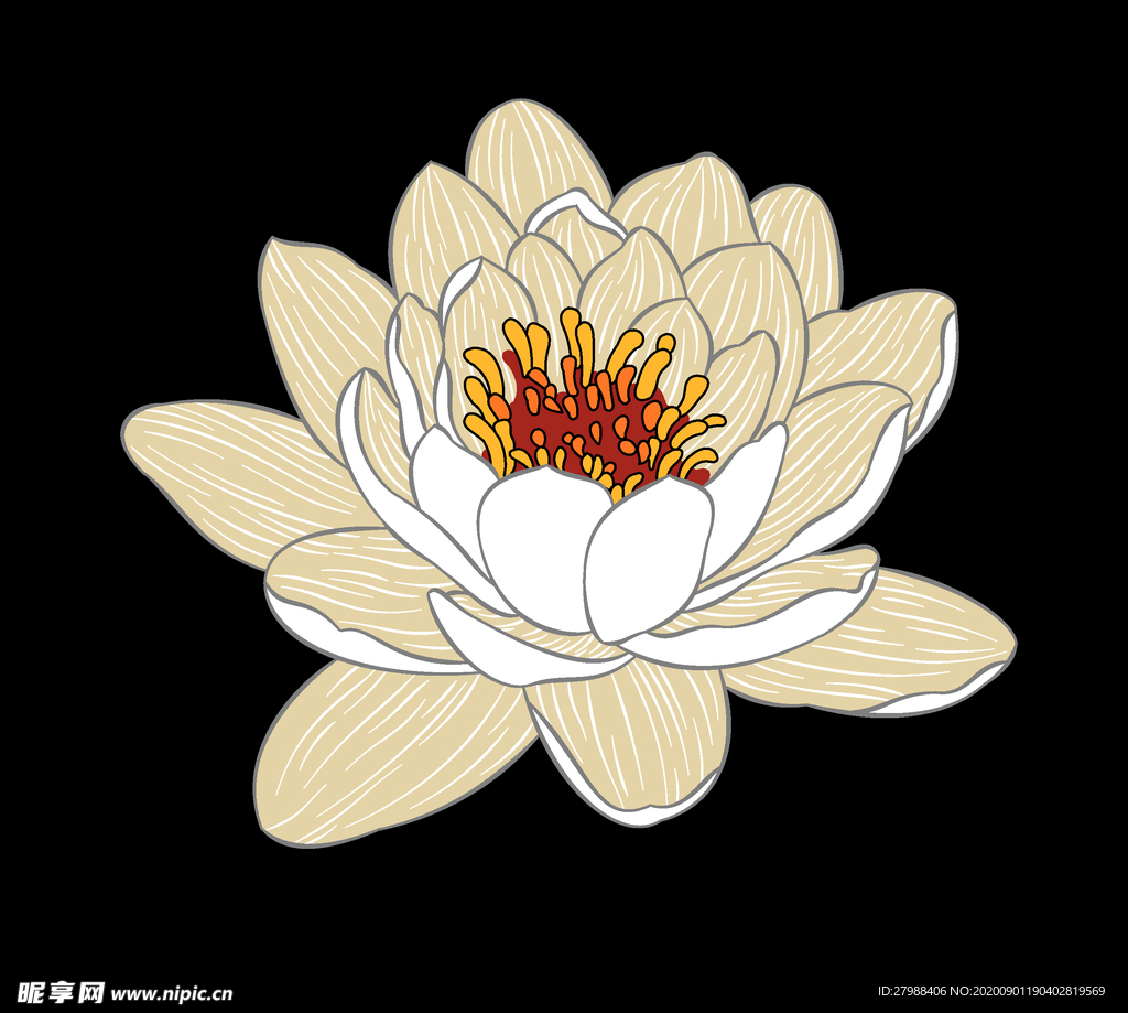 线条莲花