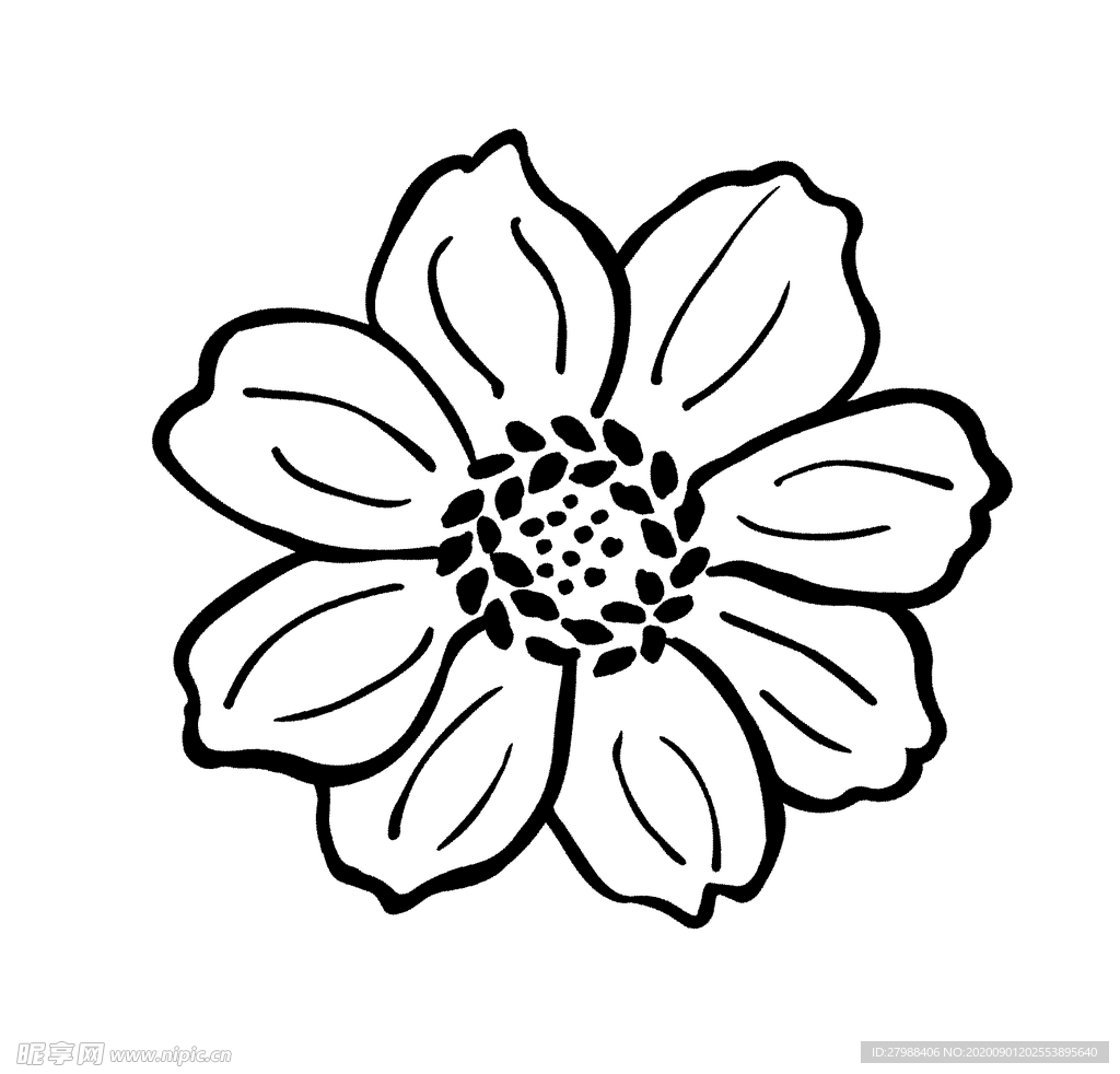 线条花