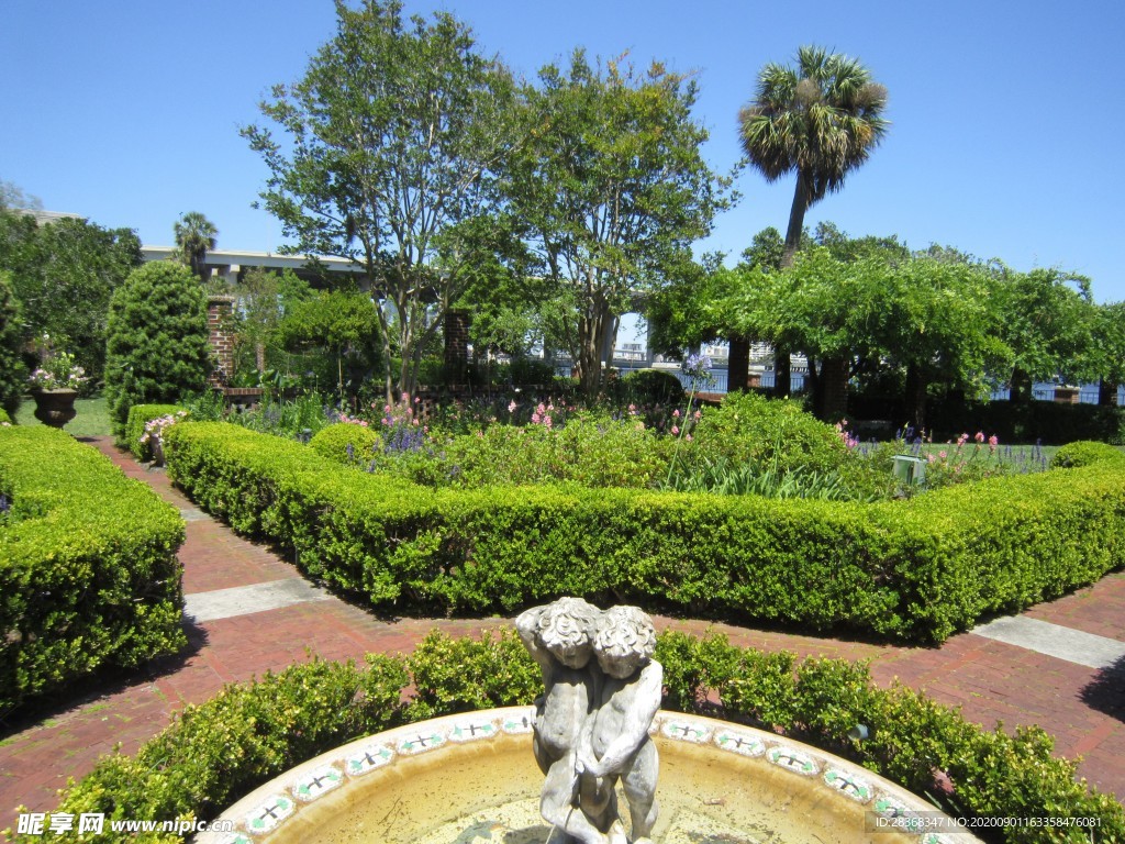 公园风景