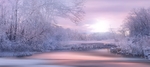 冬日的清晨湖面撒满紫色的光树木