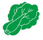 矢量白菜