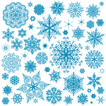 雪花