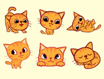 猫