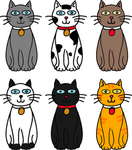 猫