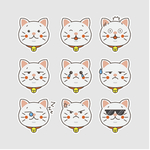 猫咪