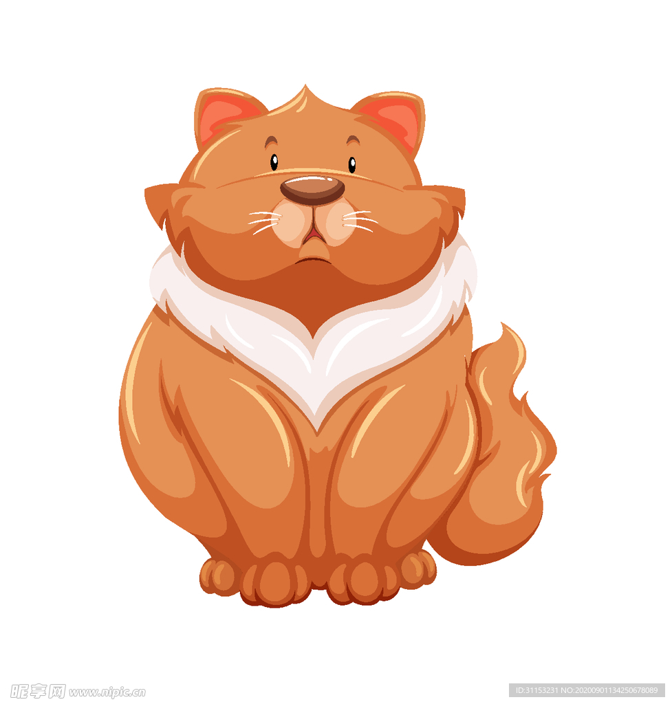 猫
