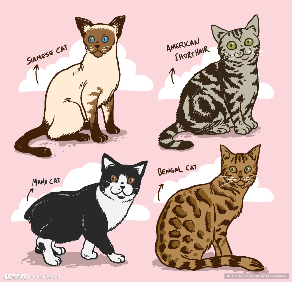 猫