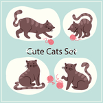 猫