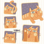 猫