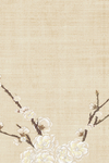 工笔画素材