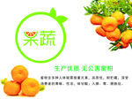 果蔬