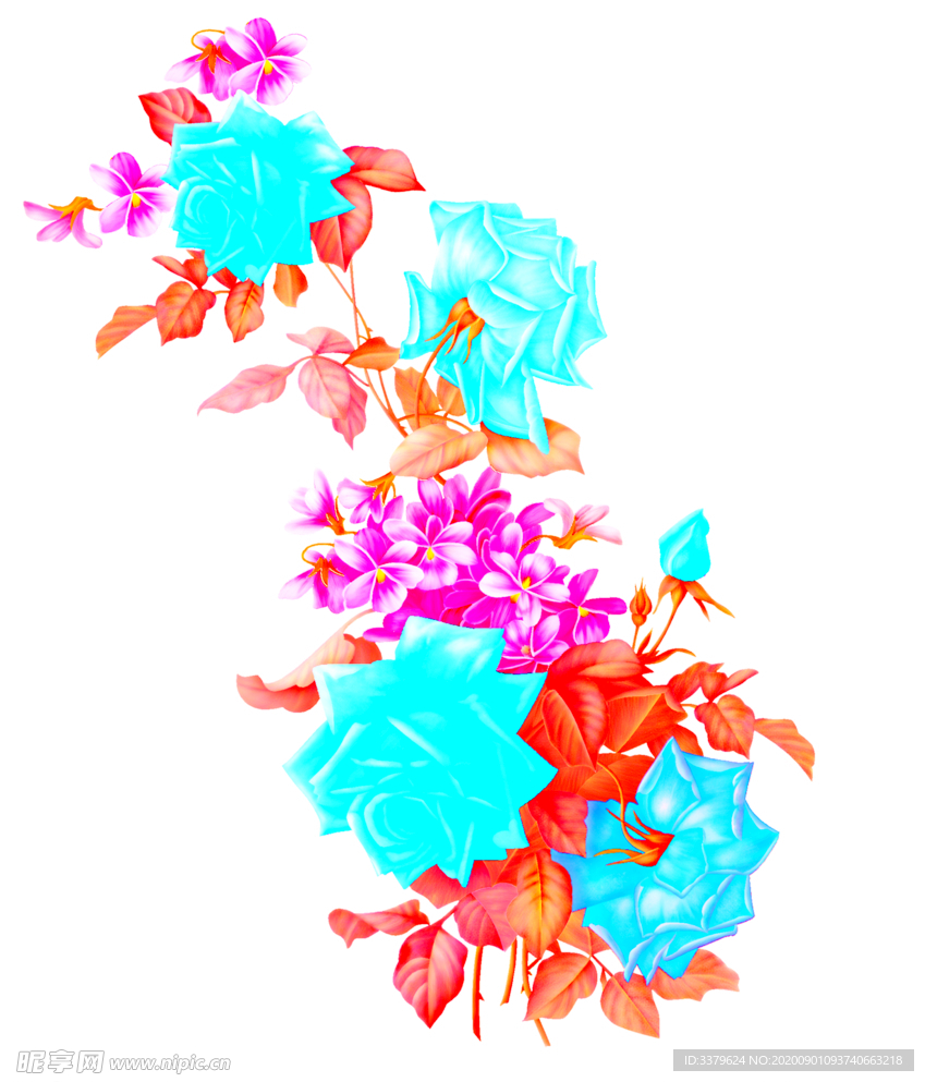 牡丹