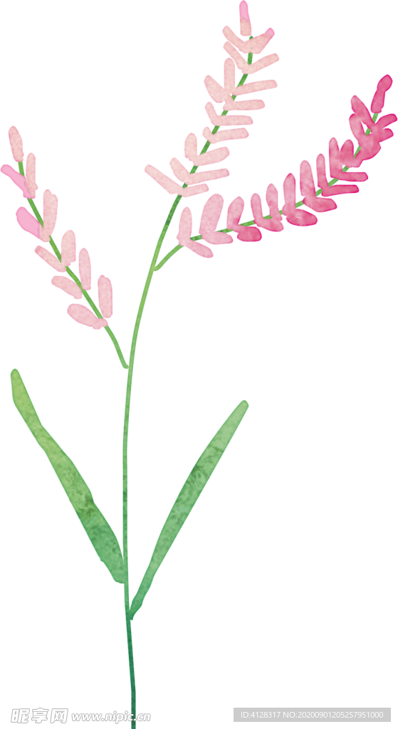 水彩花卉