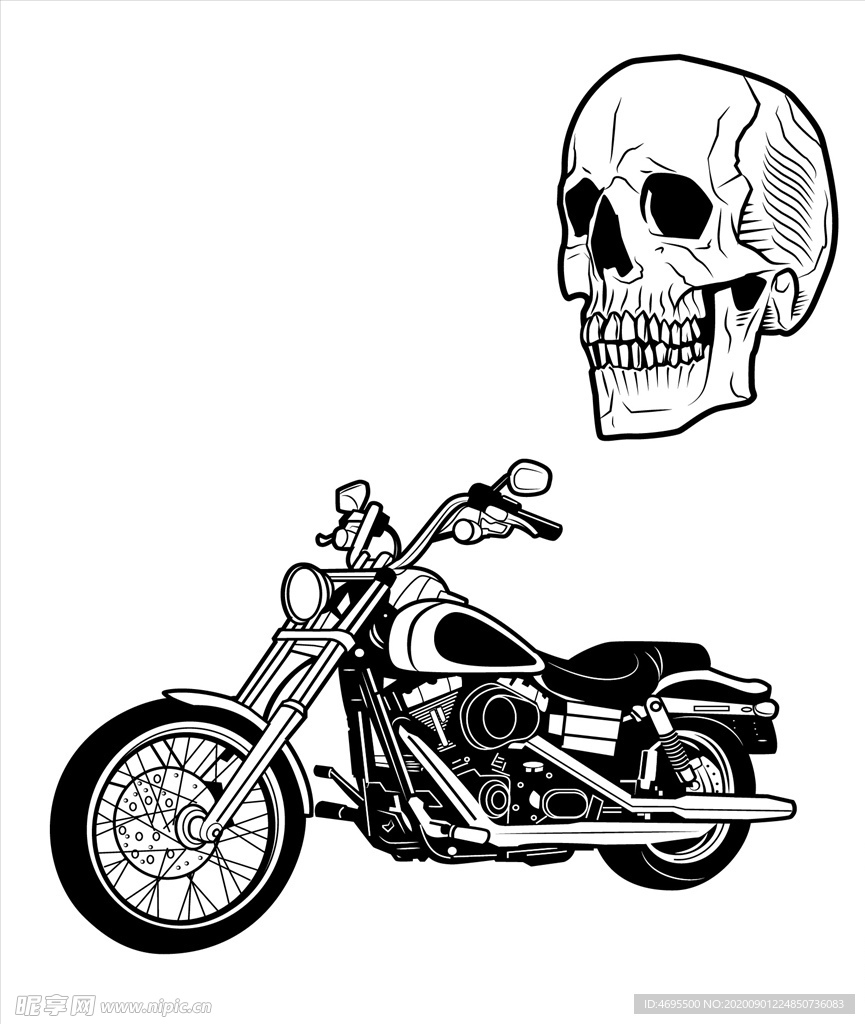 摩托车人头骨