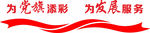 为党旗添彩 为发展服务