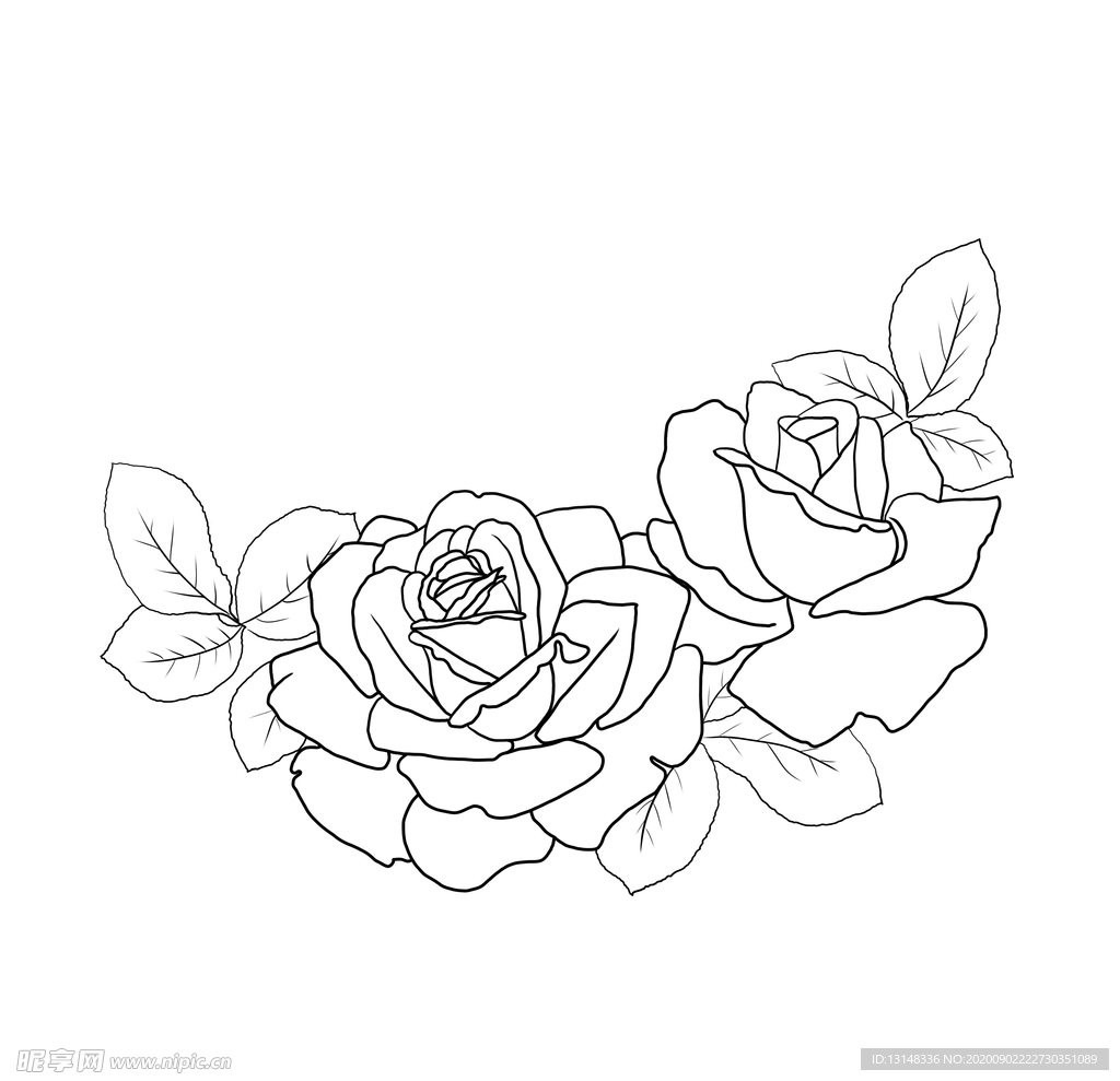 玫瑰花图片素材-编号29580912-图行天下