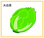 大白菜