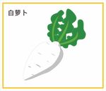 白萝卜