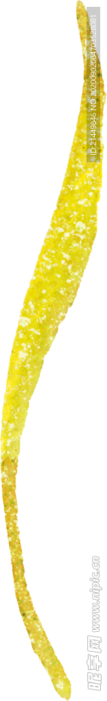 水彩手绘花卉花朵植物