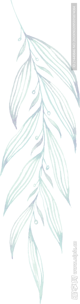 水彩手绘花卉花朵植物