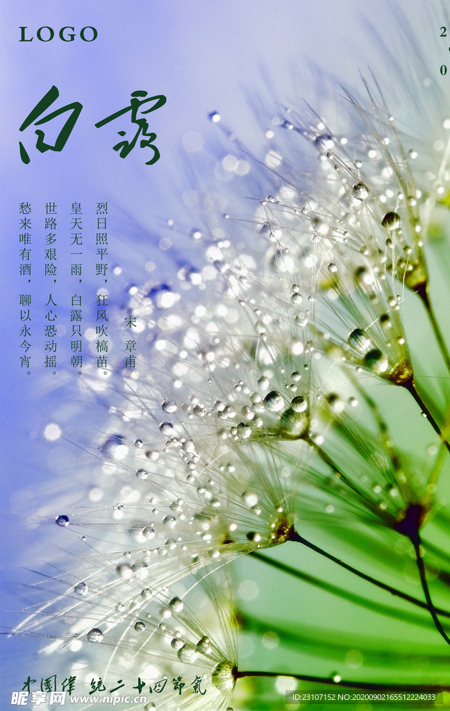 白露宣传海报
