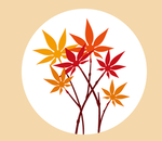 手绘枫叶