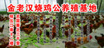 烧鸡公 简介